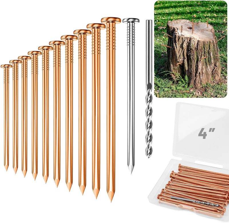 UCandy 4" Copper Nails for Killing Trees Stump Root, 10 pack Copper Nails with Drill, Stump Removal Spikes Hardware Nails for Trees - Image 1